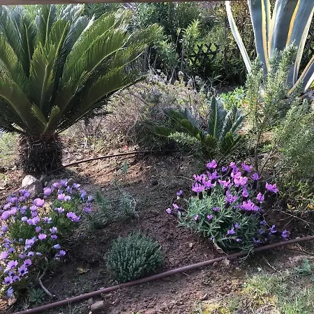 Holiday home La Provencale